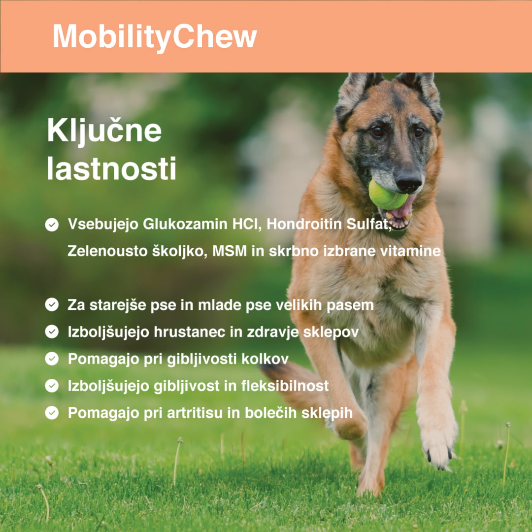 Caratteristiche principali di Mobility Chew