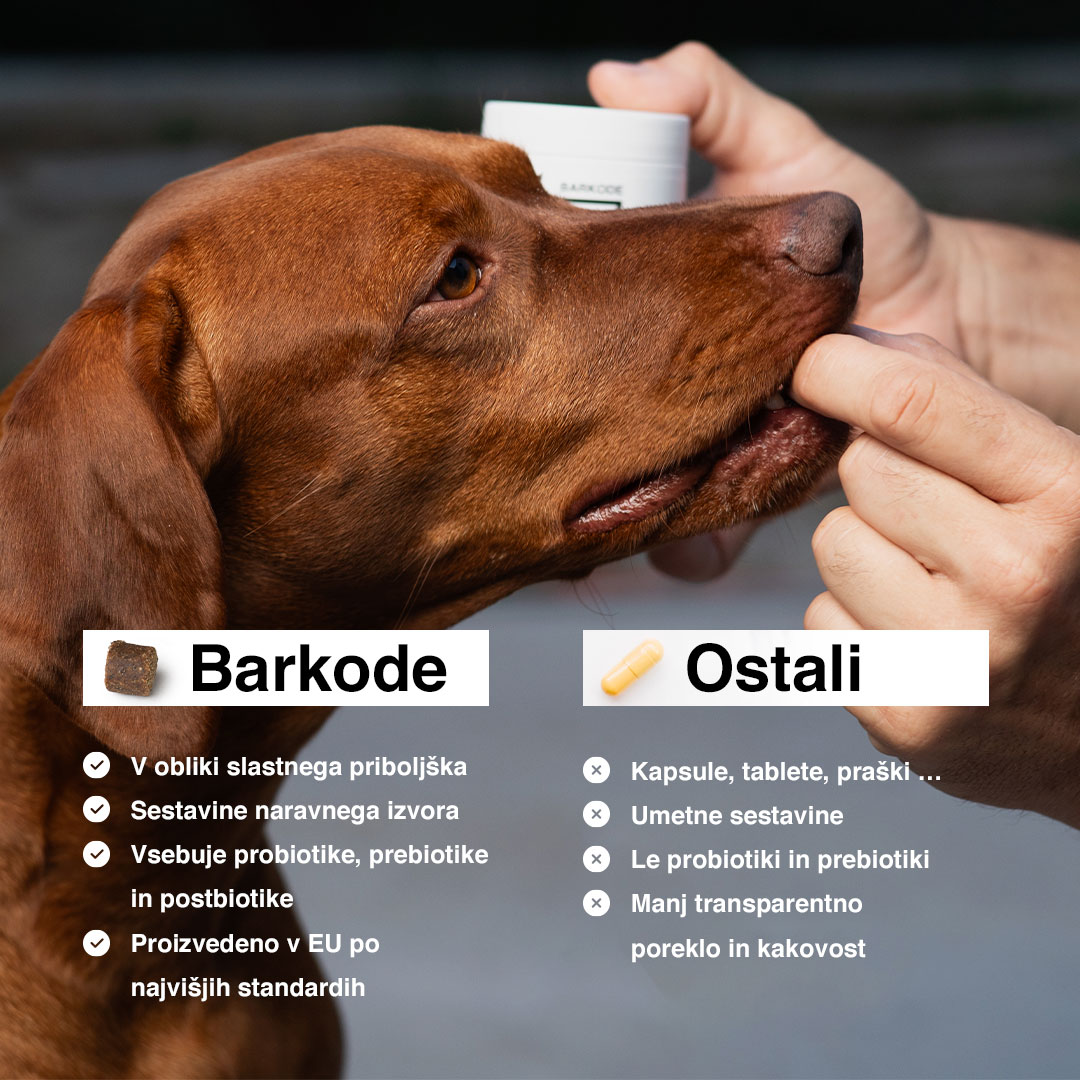 Caratteristiche principali di Probiotic Chew
