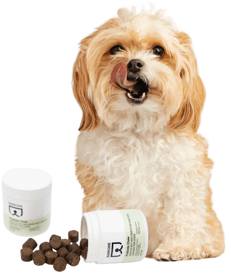 Cane con Probiotic Chews