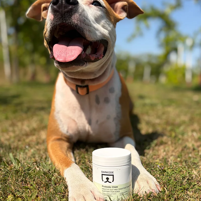 Cane felice sdraiato sull'erba dietro un barattolo di Probiotic Chew