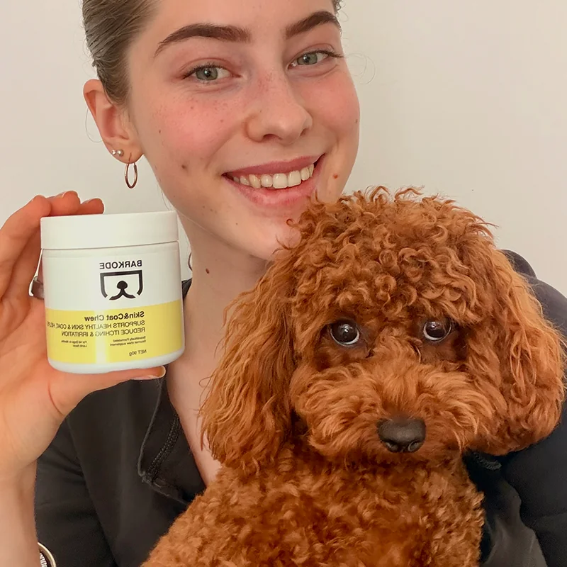Proprietaria che tiene un barattolo di Skin & Coat Chew accanto al suo barboncino toy rosso