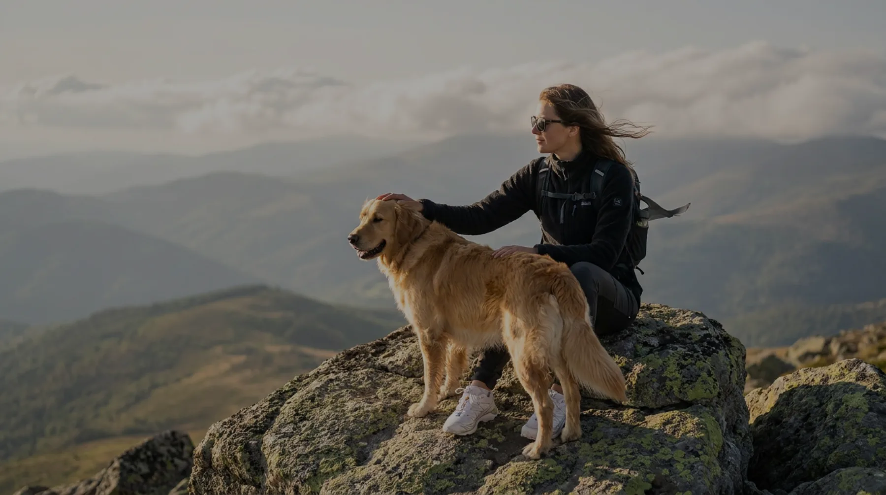 Cane che corre gioiosamente verso il suo proprietario