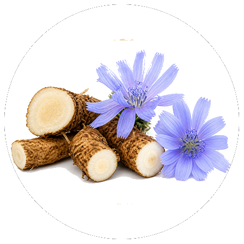 Fibre prebiotiche